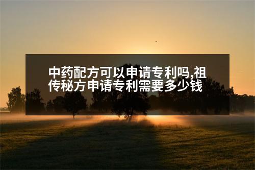 中藥配方可以申請(qǐng)專利嗎,祖?zhèn)髅胤缴暾?qǐng)專利需要多少錢