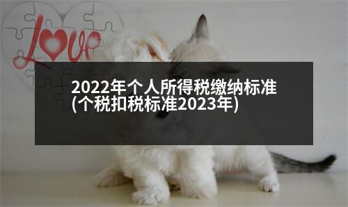 2022年個人所得稅繳納標準(個稅扣稅標準2023年)