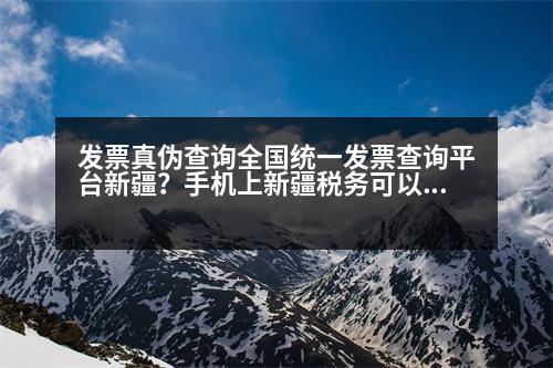 發(fā)票真?zhèn)尾樵內(nèi)珖y(tǒng)一發(fā)票查詢平臺新疆？手機(jī)上新疆稅務(wù)可以發(fā)票抄報匯總嗎