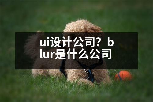 ui設(shè)計公司？blur是什么公司