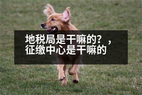 地稅局是干嘛的？，征繳中心是干嘛的