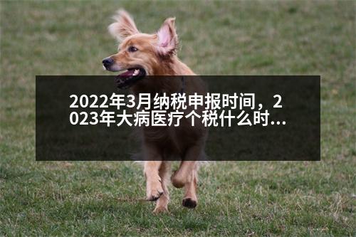 2022年3月納稅申報時間，2023年大病醫(yī)療個稅什么時候填