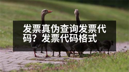 發(fā)票真?zhèn)尾樵儼l(fā)票代碼？發(fā)票代碼格式