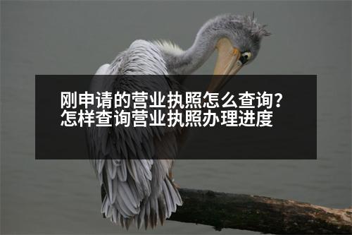 剛申請的營業(yè)執(zhí)照怎么查詢？怎樣查詢營業(yè)執(zhí)照辦理進(jìn)度