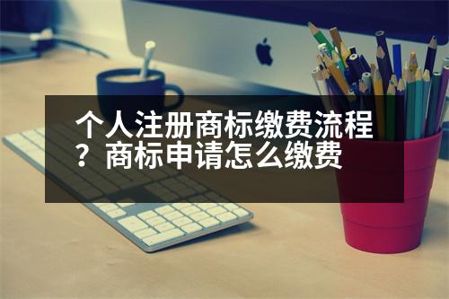 個(gè)人注冊(cè)商標(biāo)繳費(fèi)流程？商標(biāo)申請(qǐng)?jiān)趺蠢U費(fèi)