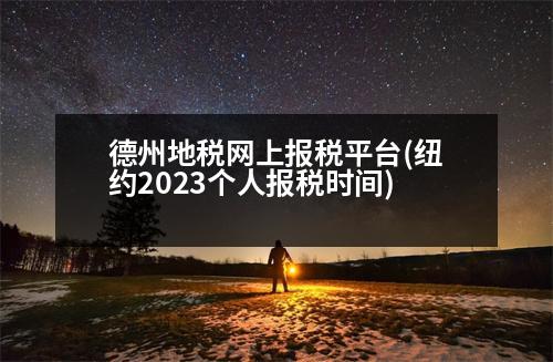 德州地稅網(wǎng)上報稅平臺(紐約2023個人報稅時間)