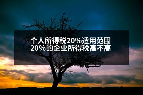 個(gè)人所得稅20%適用范圍 20％的企業(yè)所得稅高不高