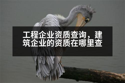 工程企業(yè)資質(zhì)查詢，建筑企業(yè)的資質(zhì)在哪里查