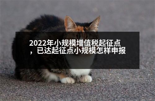 2022年小規(guī)模增值稅起征點，已達起征點小規(guī)模怎樣申報