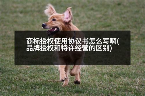 商標授權使用協(xié)議書怎么寫啊(品牌授權和特許經營的區(qū)別)