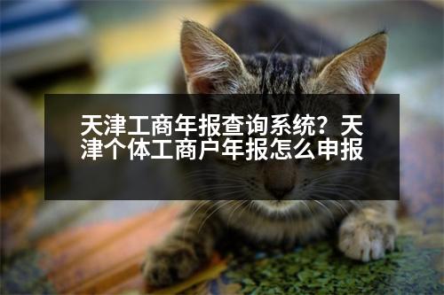 天津工商年報(bào)查詢系統(tǒng)？天津個體工商戶年報(bào)怎么申報(bào)