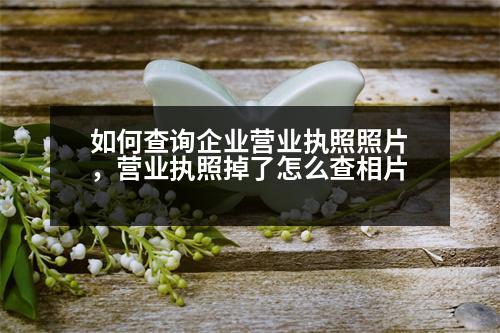 如何查詢企業(yè)營(yíng)業(yè)執(zhí)照照片，營(yíng)業(yè)執(zhí)照掉了怎么查相片