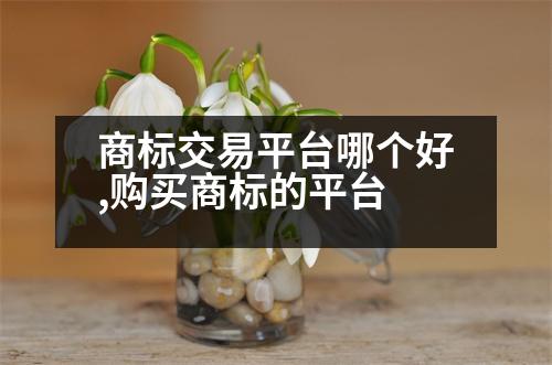 商標(biāo)交易平臺(tái)哪個(gè)好,購(gòu)買(mǎi)商標(biāo)的平臺(tái)