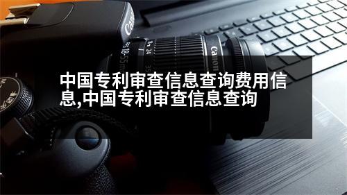 中國專利審查信息查詢費(fèi)用信息,中國專利審查信息查詢