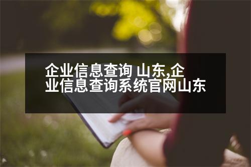 企業(yè)信息查詢 山東,企業(yè)信息查詢系統(tǒng)官網(wǎng)山東