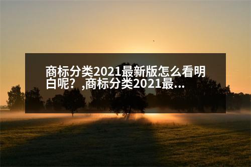 商標分類2021最新版怎么看明白呢？,商標分類2021最新版