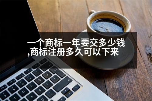 一個商標(biāo)一年要交多少錢,商標(biāo)注冊多久可以下來