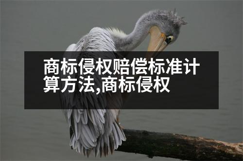 商標(biāo)侵權(quán)賠償標(biāo)準(zhǔn)計(jì)算方法,商標(biāo)侵權(quán)