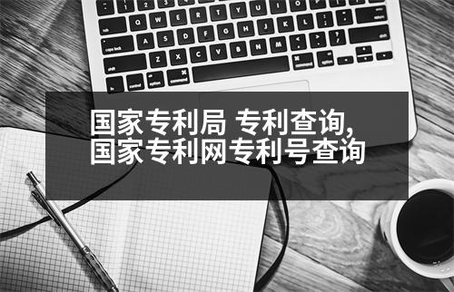 國家專利局 專利查詢,國家專利網(wǎng)專利號(hào)查詢