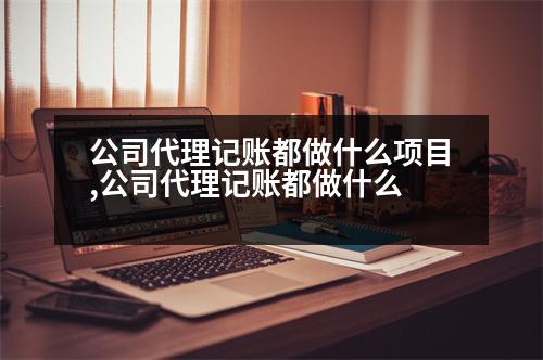 公司代理記賬都做什么項(xiàng)目,公司代理記賬都做什么