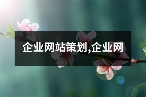 企業(yè)網(wǎng)站策劃,企業(yè)網(wǎng)