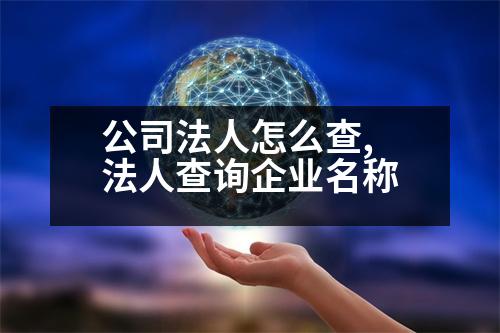 公司法人怎么查,法人查詢企業(yè)名稱