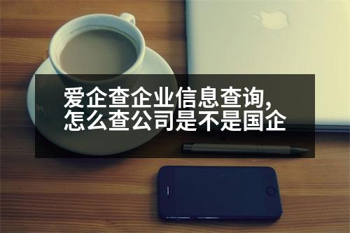 愛企查企業(yè)信息查詢,怎么查公司是不是國企