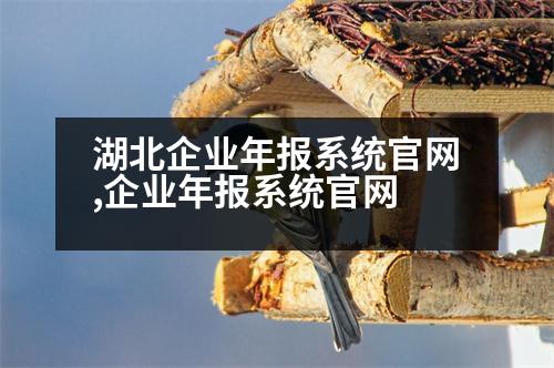 湖北企業(yè)年報系統(tǒng)官網(wǎng),企業(yè)年報系統(tǒng)官網(wǎng)