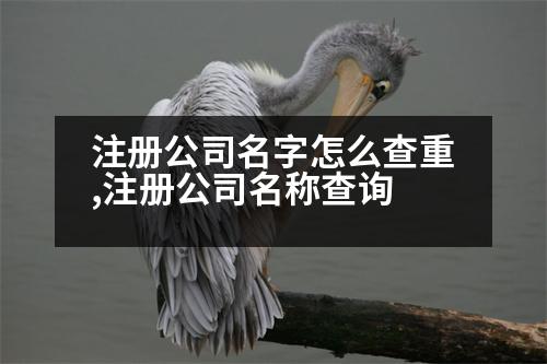 注冊(cè)公司名字怎么查重,注冊(cè)公司名稱查詢