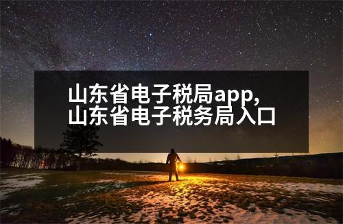 山東省電子稅局app,山東省電子稅務(wù)局入口