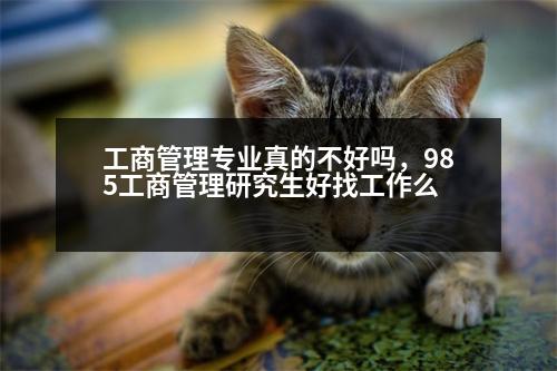 工商管理專業(yè)真的不好嗎，985工商管理研究生好找工作么