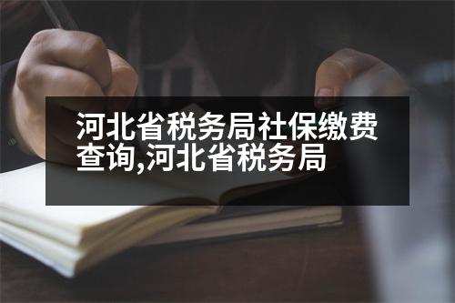 河北省稅務(wù)局社保繳費(fèi)查詢,河北省稅務(wù)局