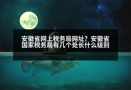 安徽省網(wǎng)上稅務(wù)局網(wǎng)址？安徽省國家稅務(wù)局有幾個處長什么級別