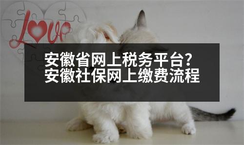 安徽省網(wǎng)上稅務(wù)平臺？安徽社保網(wǎng)上繳費流程