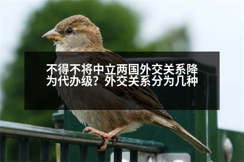 不得不將中立兩國外交關(guān)系降為代辦級(jí)？外交關(guān)系分為幾種