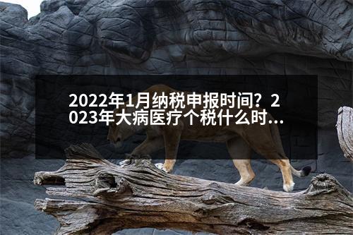 2022年1月納稅申報時間？2023年大病醫(yī)療個稅什么時候填