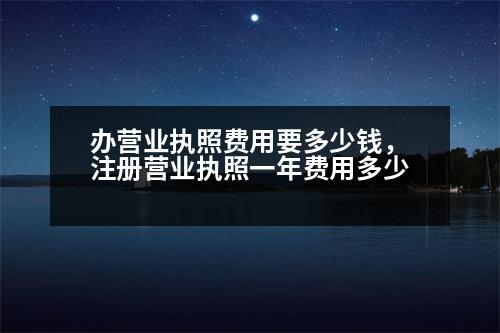 辦營業(yè)執(zhí)照費用要多少錢，注冊營業(yè)執(zhí)照一年費用多少