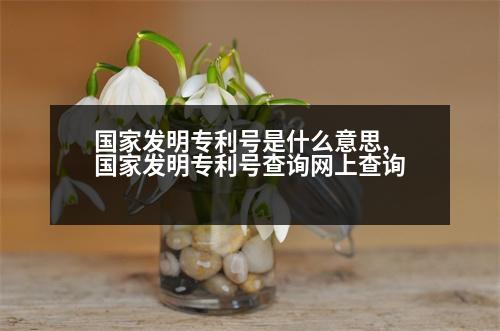 國家發(fā)明專利號(hào)是什么意思,國家發(fā)明專利號(hào)查詢網(wǎng)上查詢