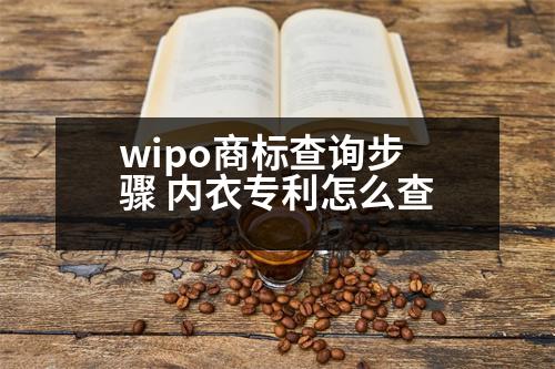 wipo商標(biāo)查詢步驟 內(nèi)衣專利怎么查