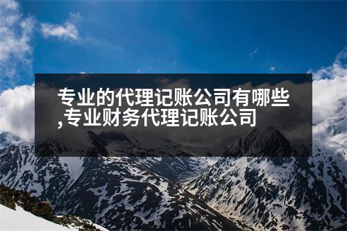 專業(yè)的代理記賬公司有哪些,專業(yè)財(cái)務(wù)代理記賬公司