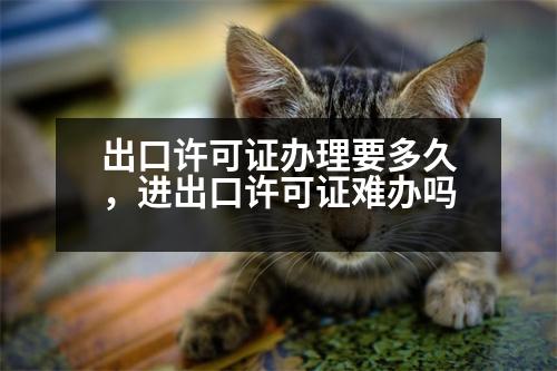 出口許可證辦理要多久，進出口許可證難辦嗎