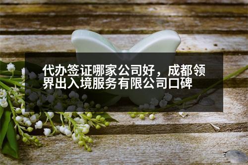 代辦簽證哪家公司好，成都領(lǐng)界出入境服務(wù)有限公司口碑