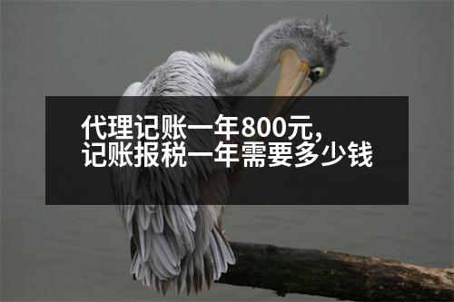 代理記賬一年800元,記賬報稅一年需要多少錢