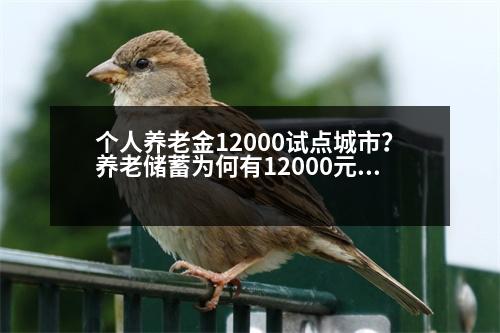 個人養(yǎng)老金12000試點城市？養(yǎng)老儲蓄為何有12000元的限制