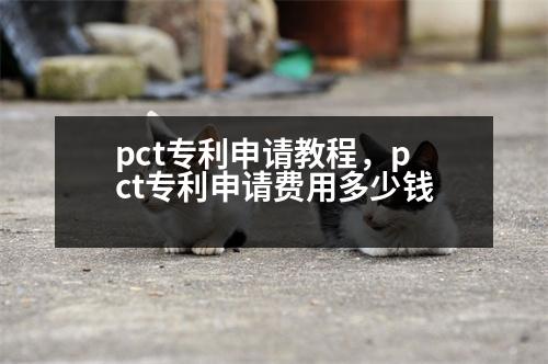 pct專利申請(qǐng)教程，pct專利申請(qǐng)費(fèi)用多少錢