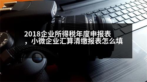 2018企業(yè)所得稅年度申報表，小微企業(yè)匯算清繳報表怎么填