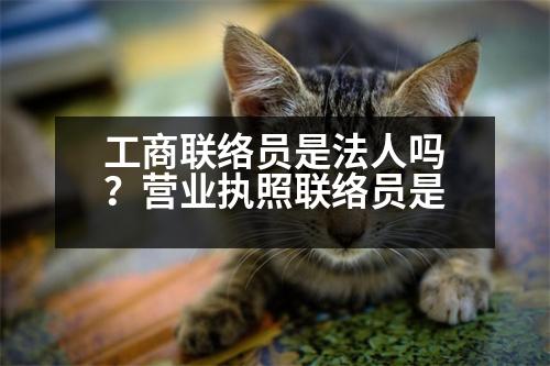 工商聯(lián)絡(luò)員是法人嗎？營業(yè)執(zhí)照聯(lián)絡(luò)員是