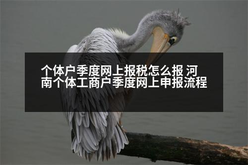 個(gè)體戶季度網(wǎng)上報(bào)稅怎么報(bào) 河南個(gè)體工商戶季度網(wǎng)上申報(bào)流程