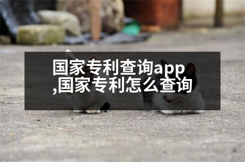 國家專利查詢app,國家專利怎么查詢