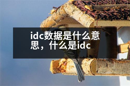 idc數(shù)據(jù)是什么意思，什么是idc